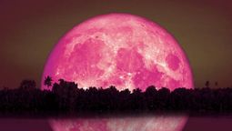 Luna de fresa, el fenómeno que sucederá en junio.