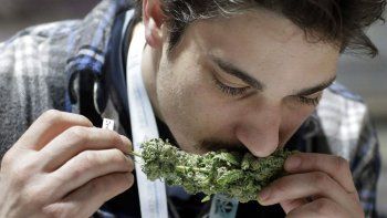 Desde octubre será  legal el consumo de marihuana en Canadá