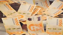 ANSES confirmó que pagará un BENEFICIO de $252.000 en julio 2024