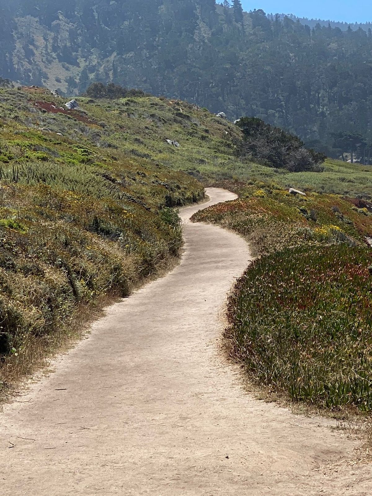 El senderismo es una de las actividades más elegidas en las cercanías de esta playa. El senderismo es una de las actividades más elegidas en las cercanías de esta playa.