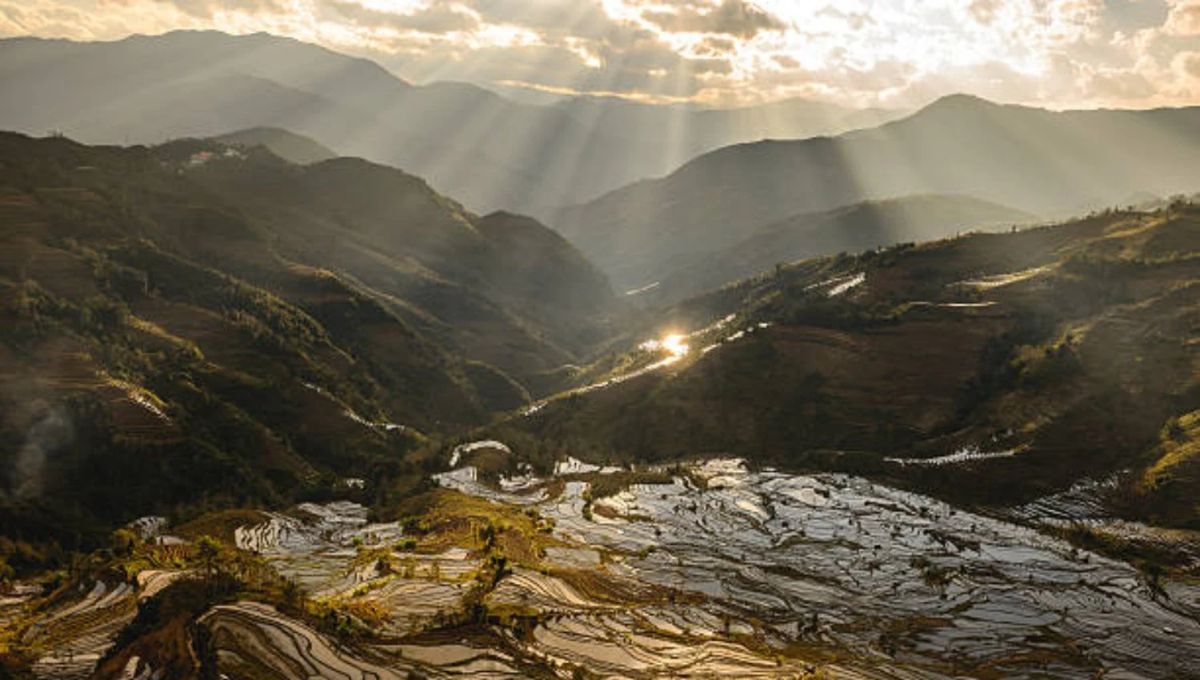 Un estudio confirma que un depredador desconocido está emergiendo de las montañas de China