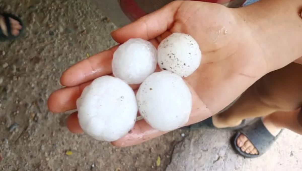 El tamaño del granizo que azotó San Rafael fue desvastador con las producciones agrícolas de la zona de Jaime Prats y Real del Padre