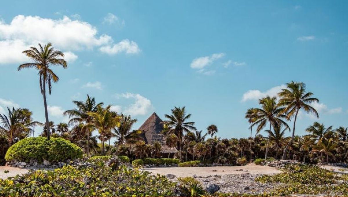 Expertos en arqueología descubren una mega ciudad maya que fue refugio de los últimos rebeldes