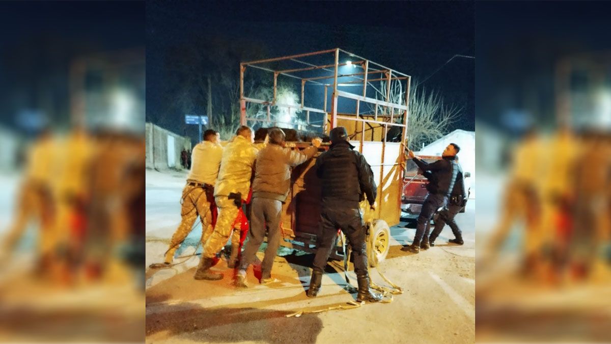 Luego de subirla al corralero, la llevaron al corral del Estado, en Rodeo del Medio, para resguardarla. Luego de subirla al corralero, la llevaron al corral del Estado, en Rodeo del Medio, para resguardarla.