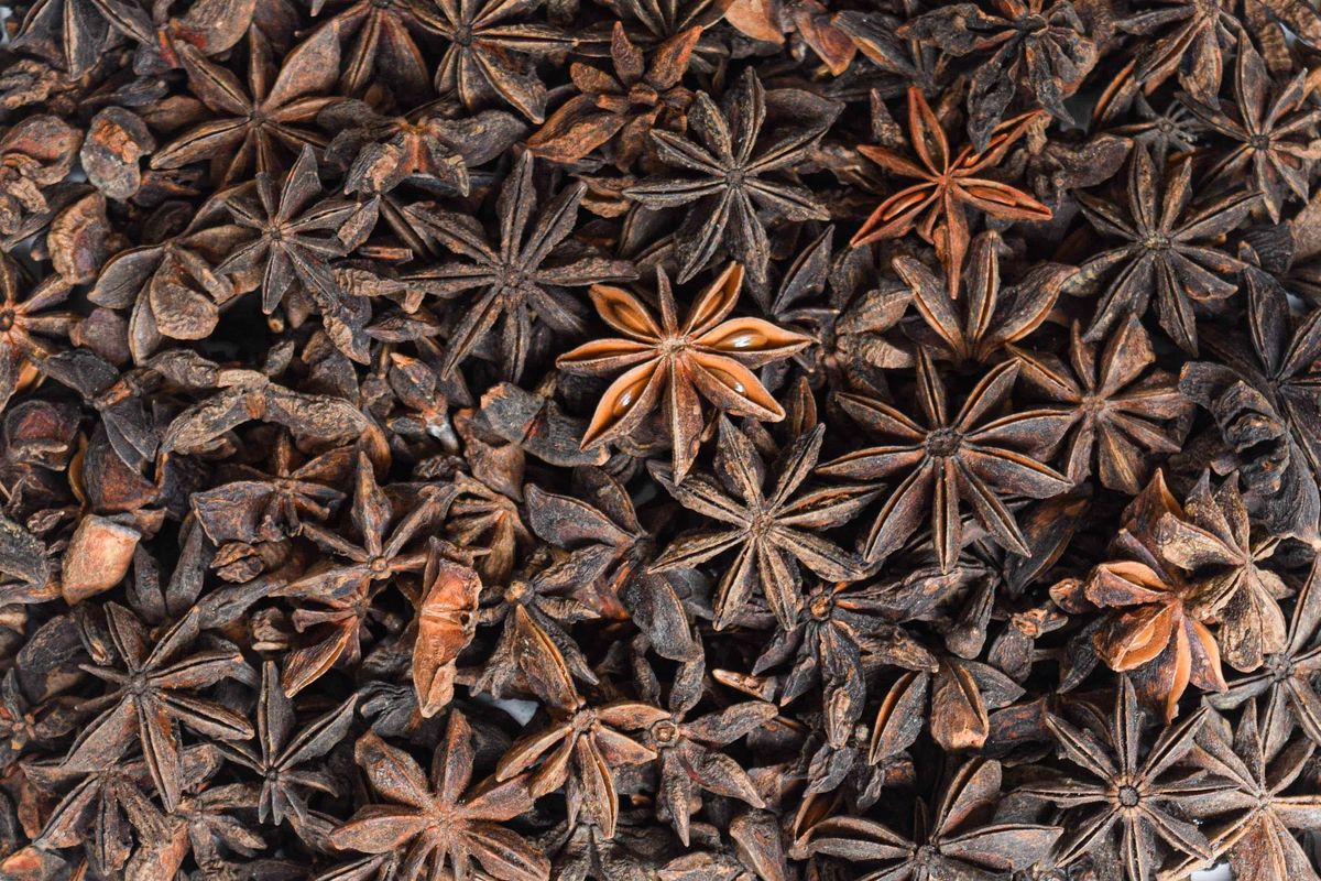 La famosa especia que mejora la digestión y reduce el riesgo de enfermedades crónicas La famosa especia que mejora la digestión y reduce el riesgo de enfermedades crónicas