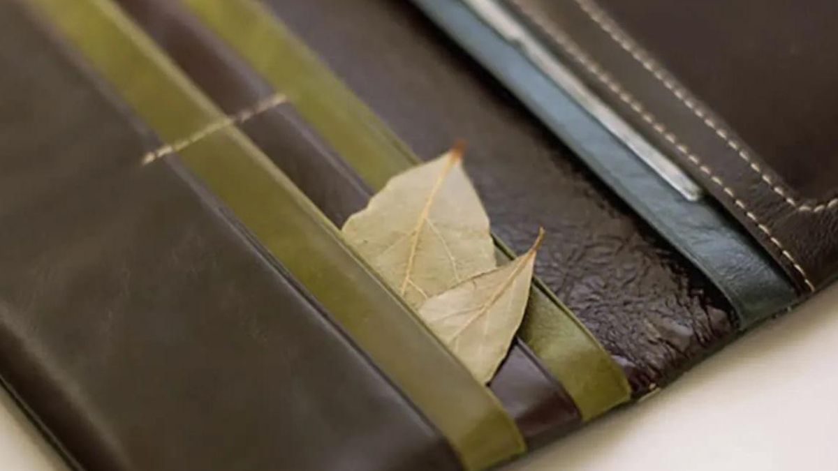 ¿Qué siginifica el ritual de llevar hojas de laurel en la billetera?
