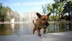 Pronóstico del tiempo hoy:  temperatura de verano este domingo antes del ingreso de un frente frío