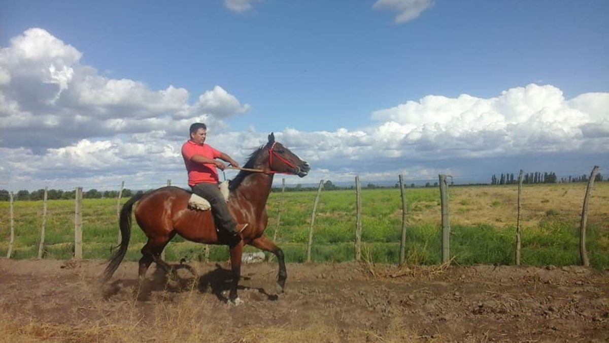 El cuidador Fabio Castillo despidió con dolor a sus "pupilos", muertos en el incendio de los studes tupungatinos. El cuidador Fabio Castillo despidió con dolor a sus "pupilos", muertos en el incendio de los studes tupungatinos.