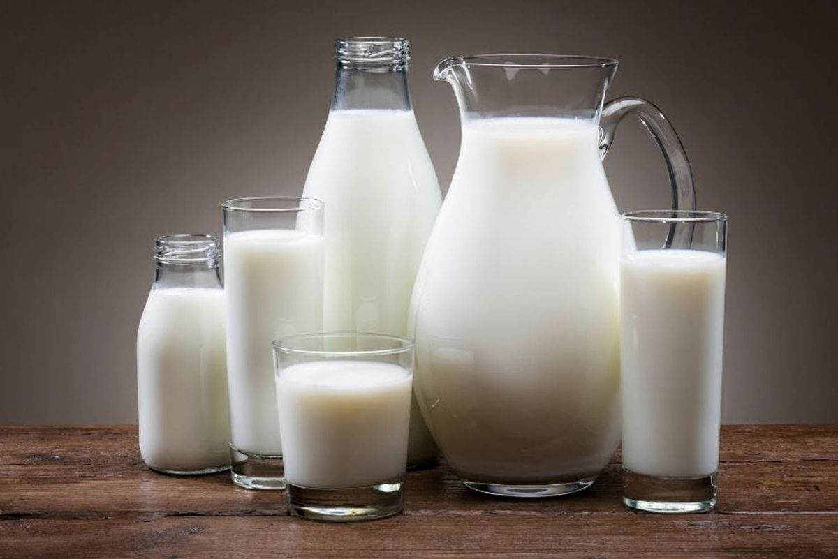 Cuál es la diferencia entre leche descremada y leche deslactosada. Imagen: Freepik.