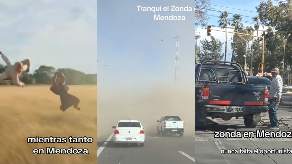 Videos y fotos: lo que el viento Zonda dejó en las redes sociales de Mendoza
