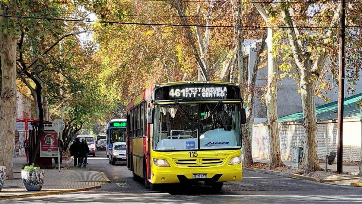 Los costos del sistema de transporte público crecieron tanto que sin subsidios la tarifa del colectivo urbano rondaría los $1.200. Los costos del sistema de transporte público crecieron tanto que sin subsidios la tarifa del colectivo urbano rondaría los $1.200.