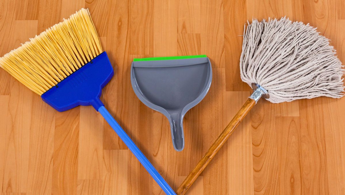 La escoba y el lampazo son uno de los instrumentos de limpieza que mayor suciedad acumulan en cuento a pelos y pelusas. La escoba y el lampazo son uno de los instrumentos de limpieza que mayor suciedad acumulan en cuento a pelos y pelusas.