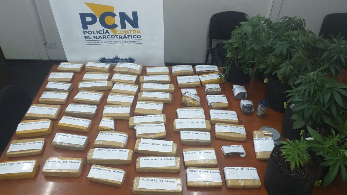 Operación Palomeo: así tiraba droga desde la calle al interior de la cárcel