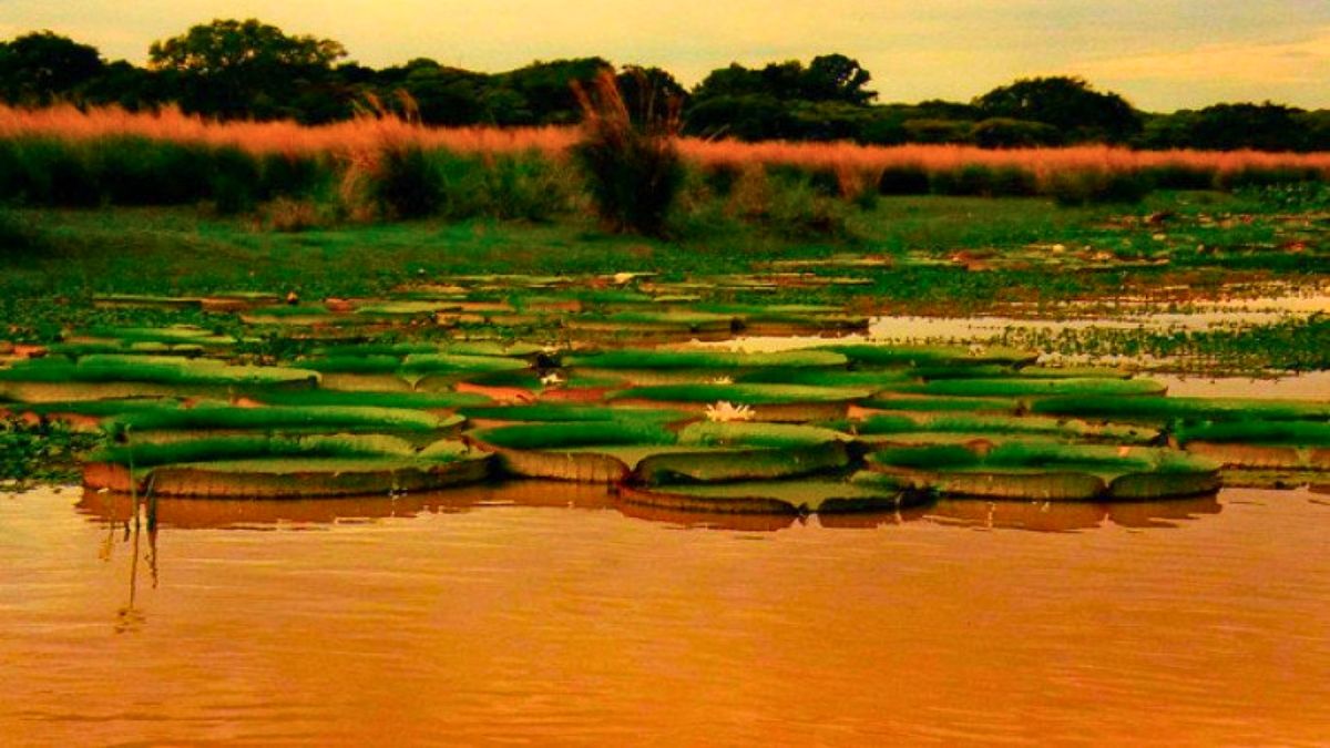 Una de las vistas naturales que ofrece este pueblo. Una de las vistas naturales que ofrece este pueblo.