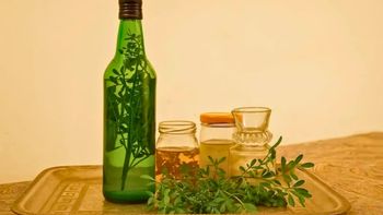 Si no tomaste caña con ruda el 1 de agosto, te contamos qué podría pasarte según la tradición