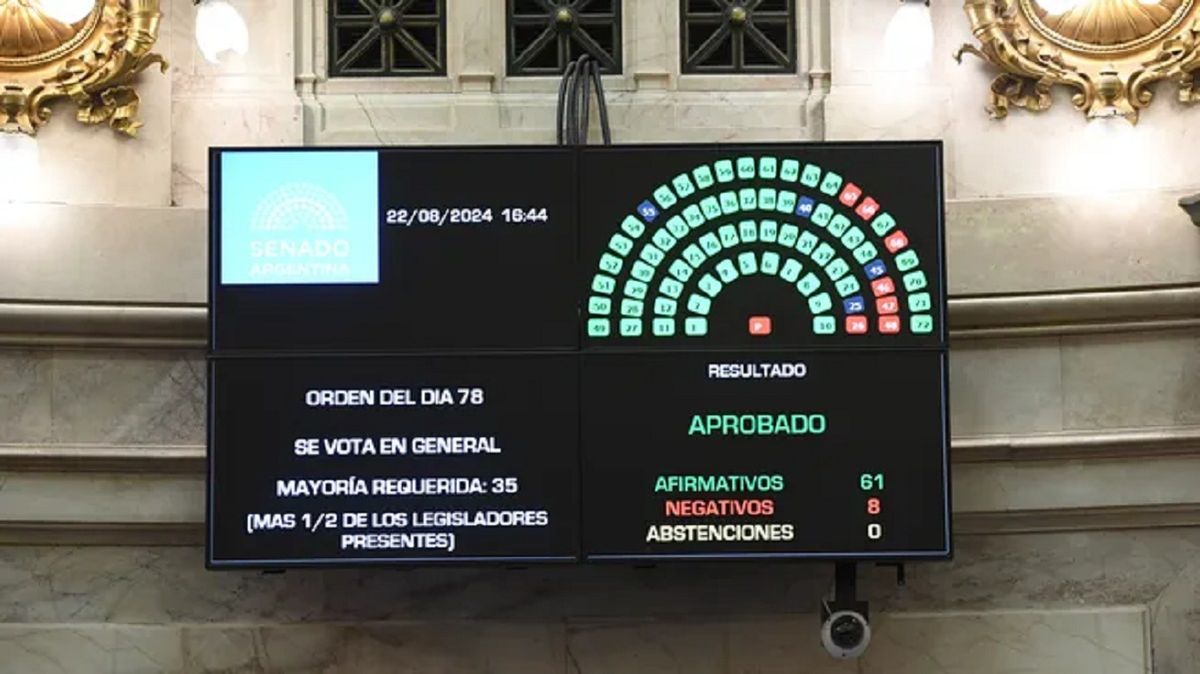 El Senado volverá a tratar el reforma previsional tras el veto de Javier Milei. Martín Lousteau dijo que insistirán con el proyecto. El Senado volverá a tratar el reforma previsional tras el veto de Javier Milei. Martín Lousteau dijo que insistirán con el proyecto.