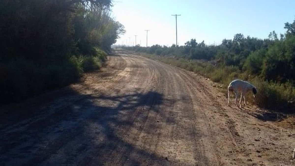 Todos los días un largo camino para llegar a la escuela Policía Federal, sobre la Ruta 24, en Lavalle. Todos los días un largo camino para llegar a la escuela Policía Federal, sobre la Ruta 24, en Lavalle.