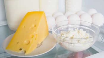 Cuál es la forma correcta de guardar el queso en la heladera para que no se llene de hongos