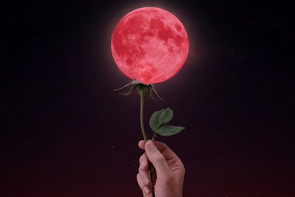 Cuál es la mejor hora para observar la Luna de Flores en el cielo este 12 de mayo Cuál es la mejor hora para observar la Luna de Flores en el cielo este 12 de mayo