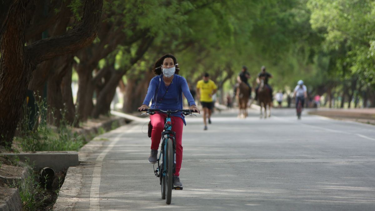 Coronavirus en Mendoza. 