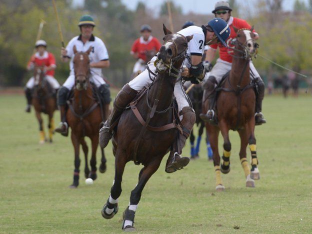 Mirá las mejores fotos del Vendimia de Polo