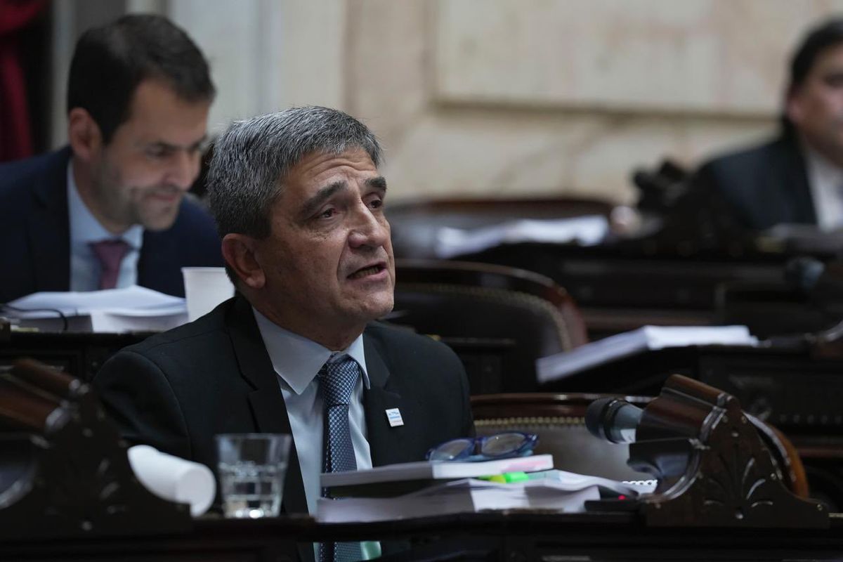 Pablo Yedlin, de Unión por la Patria. Pablo Yedlin, de Unión por la Patria.