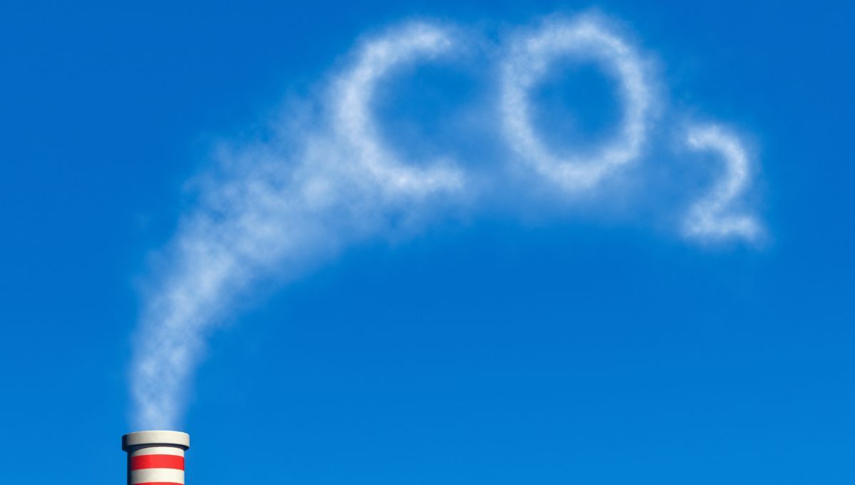 La acumulación de CO₂ o monóxido de carbono puede contribuir a la intoxicación La acumulación de CO₂ o monóxido de carbono puede contribuir a la intoxicación