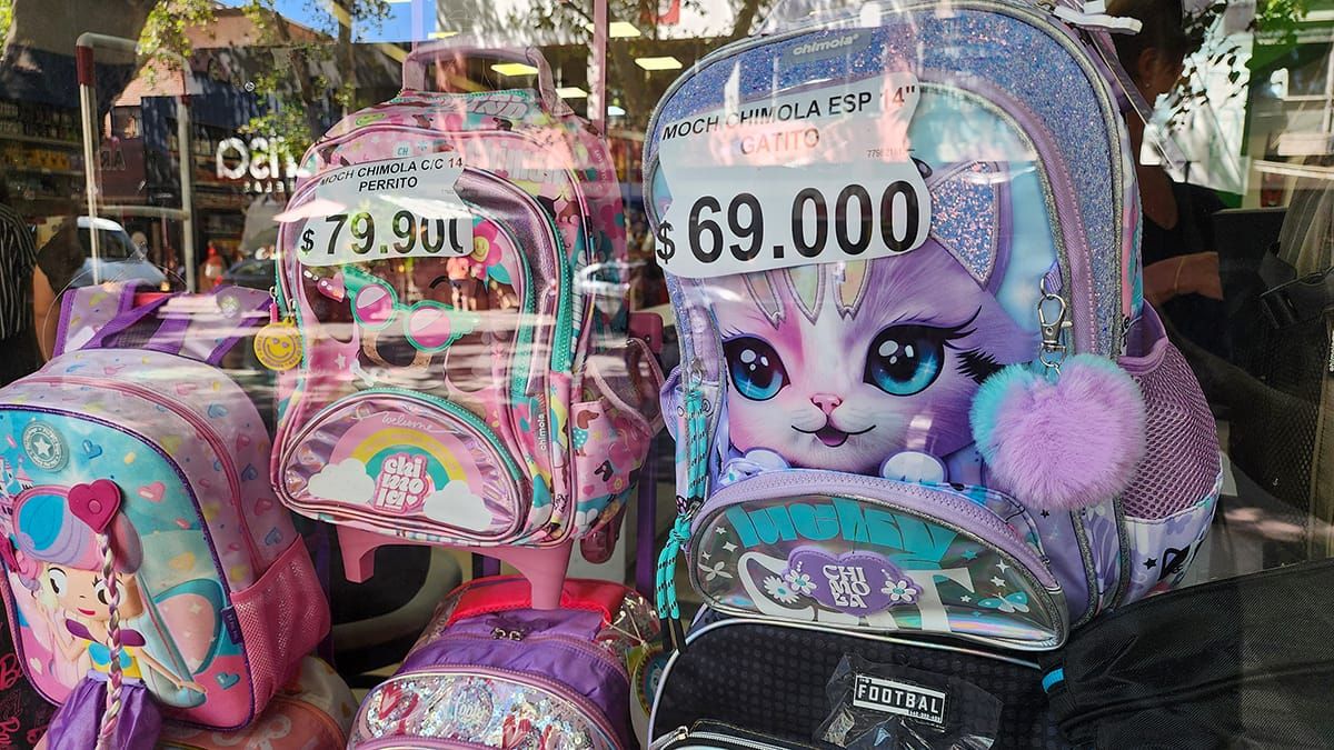 En una recorrida por el centro de Mendoza se puede encontrar mochilas carrito entre $60.000 y $70.000. La diferencia es importante con Chile. En una recorrida por el centro de Mendoza se puede encontrar mochilas carrito entre $60.000 y $70.000. La diferencia es importante con Chile.