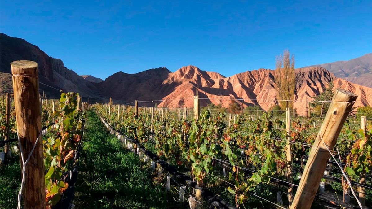 Así son los paisajes del vides en la Quebrada de Humahuaca Así son los paisajes del vides en la Quebrada de Humahuaca