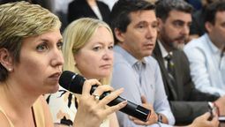 Jimena Latorre abrió la serie de diálogos en la Legislatura para destrabar el proyecto.&nbsp;
