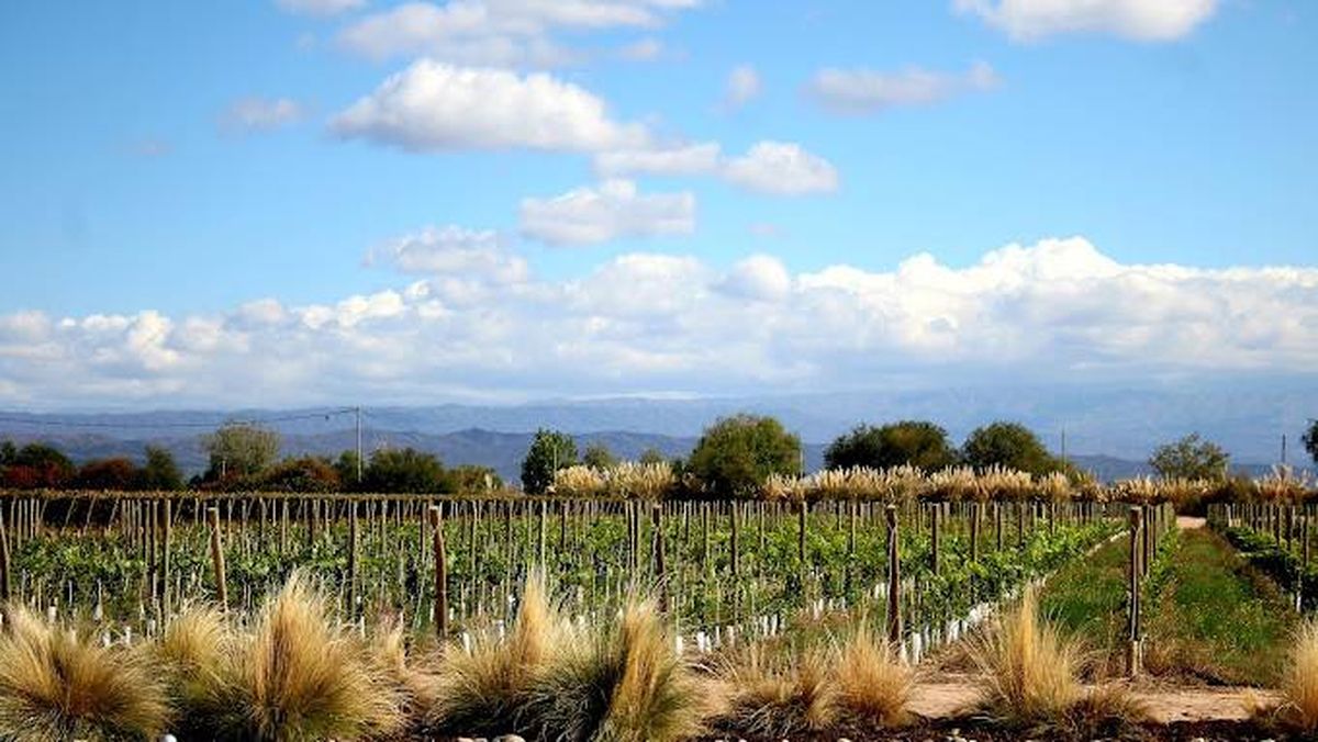 Entorno inigualable para el amor, la música y el arte. Entorno inigualable para el amor, la música y el arte.