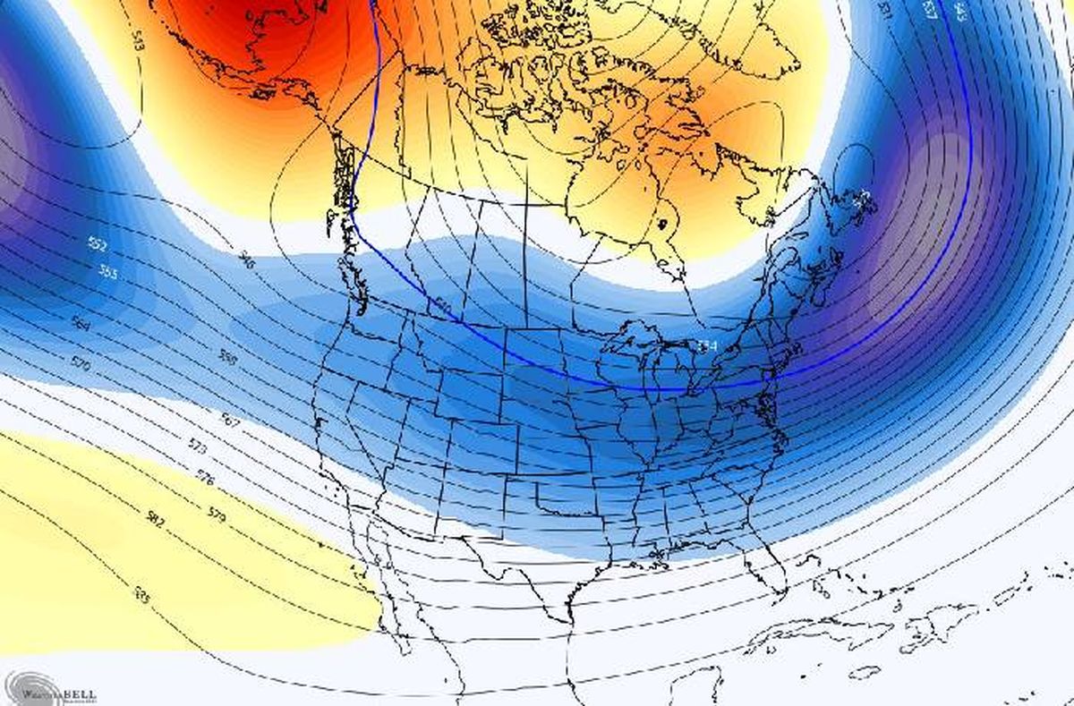 El estudio reveló grandes descubrimientos El estudio reveló grandes descubrimientos
