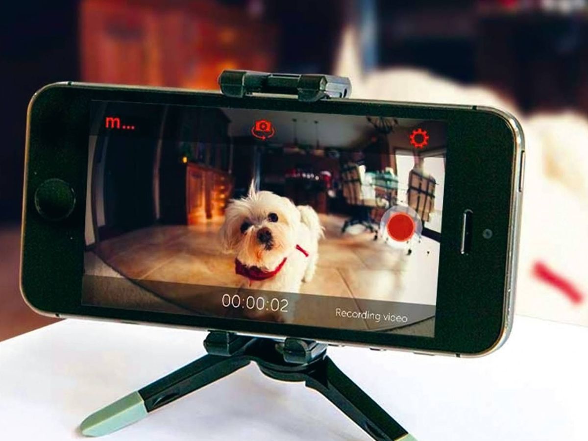 Con un celular viejo, puedes vigilar alg&uacute;n punto de tu casa.