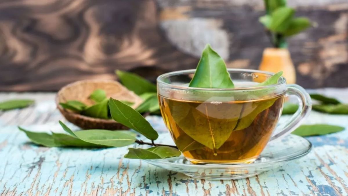 Beneficio de tomar té de laurel. Beneficio de tomar té de laurel.