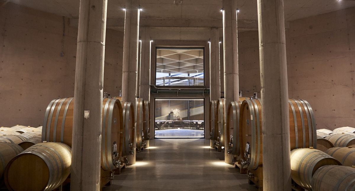 La bodega Alpamanta es una de las que contó con la intervención científica de Ganem y su equipo del Conicet. La bodega Alpamanta es una de las que contó con la intervención científica de Ganem y su equipo del Conicet.