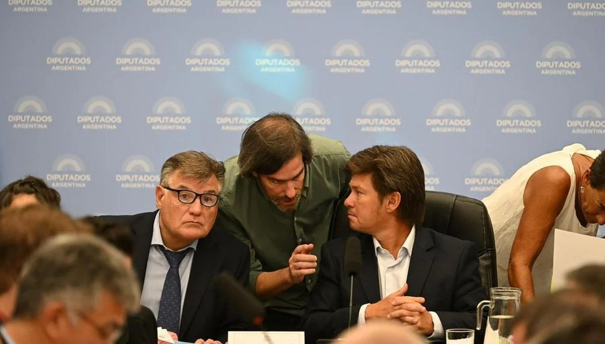 Nicol&agrave;s del Ca&ntilde;o, del FIT, que se opone a la reforma laboral.