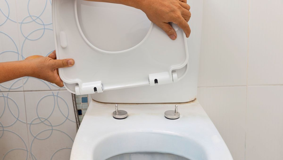 Realiza este procedimiento con vinagre en la tapa del inodoro semanalmente o cada 15 días para mantenerlo siempre impecable y libre de manchas amarillas. Realiza este procedimiento con vinagre en la tapa del inodoro semanalmente o cada 15 días para mantenerlo siempre impecable y libre de manchas amarillas. 