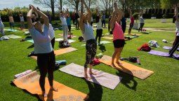 Meditación y relax entre viñedos