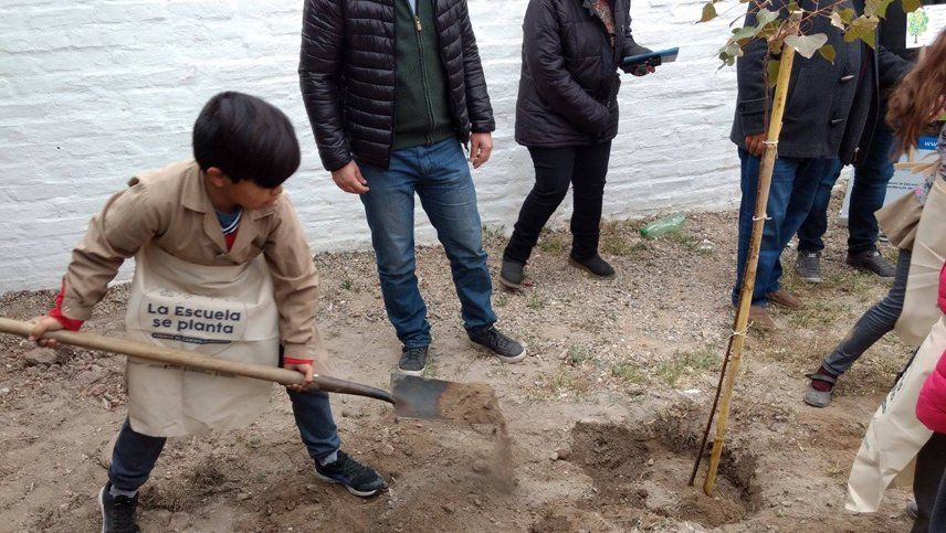 Alumnos plantan miles de árboles contra el cambio climático