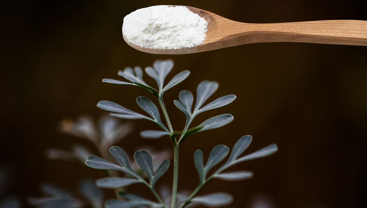 Por qué hay que ponerle bicarbonato a la panta de ruda y para qué sirve