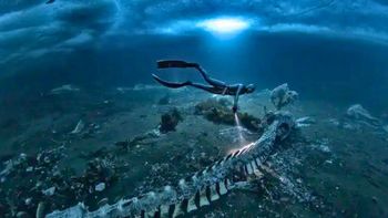 Millones de cuerpos bajo el agua: macabro y fascinante descubrimiento en lo profundo del océano Millones de cuerpos bajo el agua: macabro y fascinante descubrimiento en lo profundo del océano