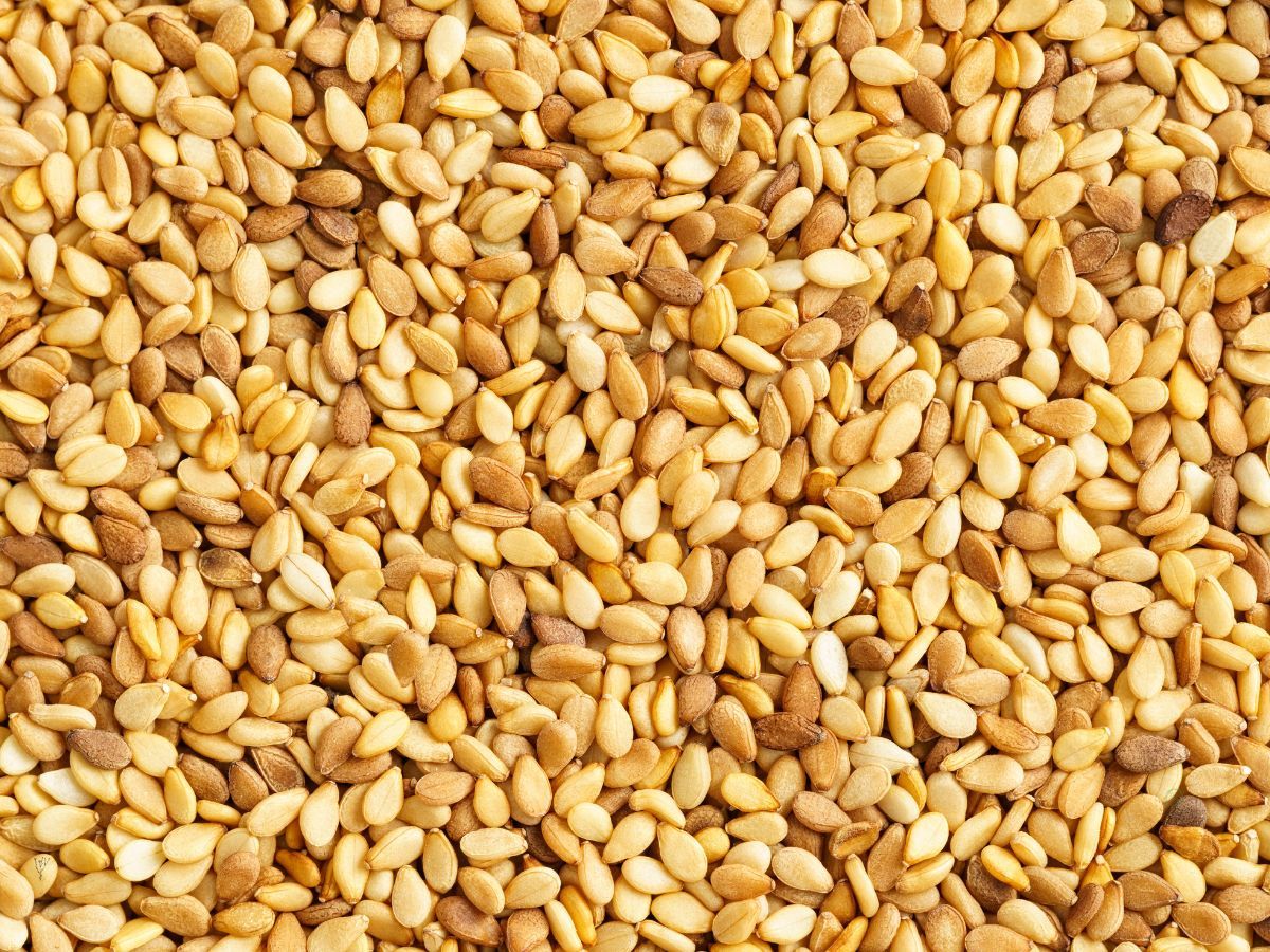 Las semillas de sésamo, también llamadas semillas de ajonjolí, parece mentira que algo tan pequeño tenga tantas propiedades saludables. Las semillas de sésamo, también llamadas semillas de ajonjolí, parece mentira que algo tan pequeño tenga tantas propiedades saludables.