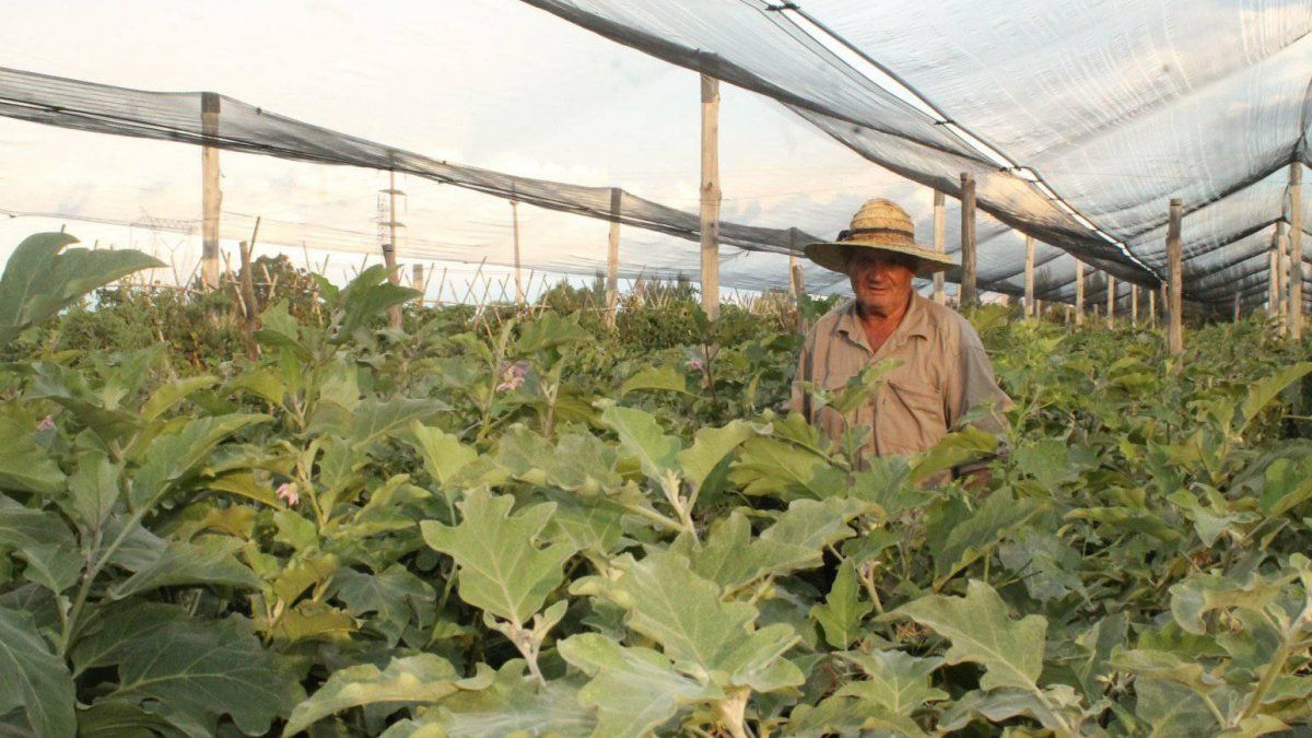 Alfredo Baldassarre, la historia de un empecinado&nbsp;