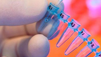 Descubrieron un antibiótico que elimina bacterias sin desarrollar resistencia