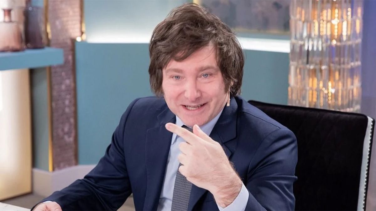 El precandidato a diputado nacional por la Ciudad de Buenos Aires Javier Milei.