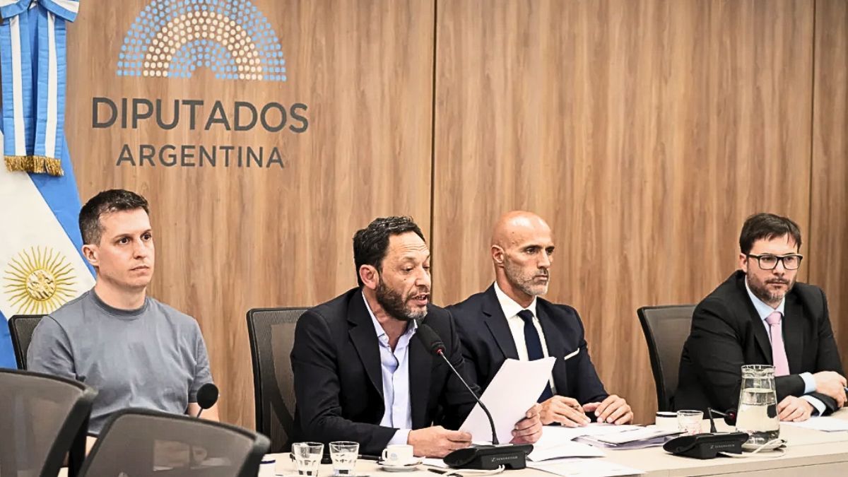 El diputado Maximiliano Ferraro lee el informe final del caso $Libra. El diputado Maximiliano Ferraro lee el informe final del caso $Libra.