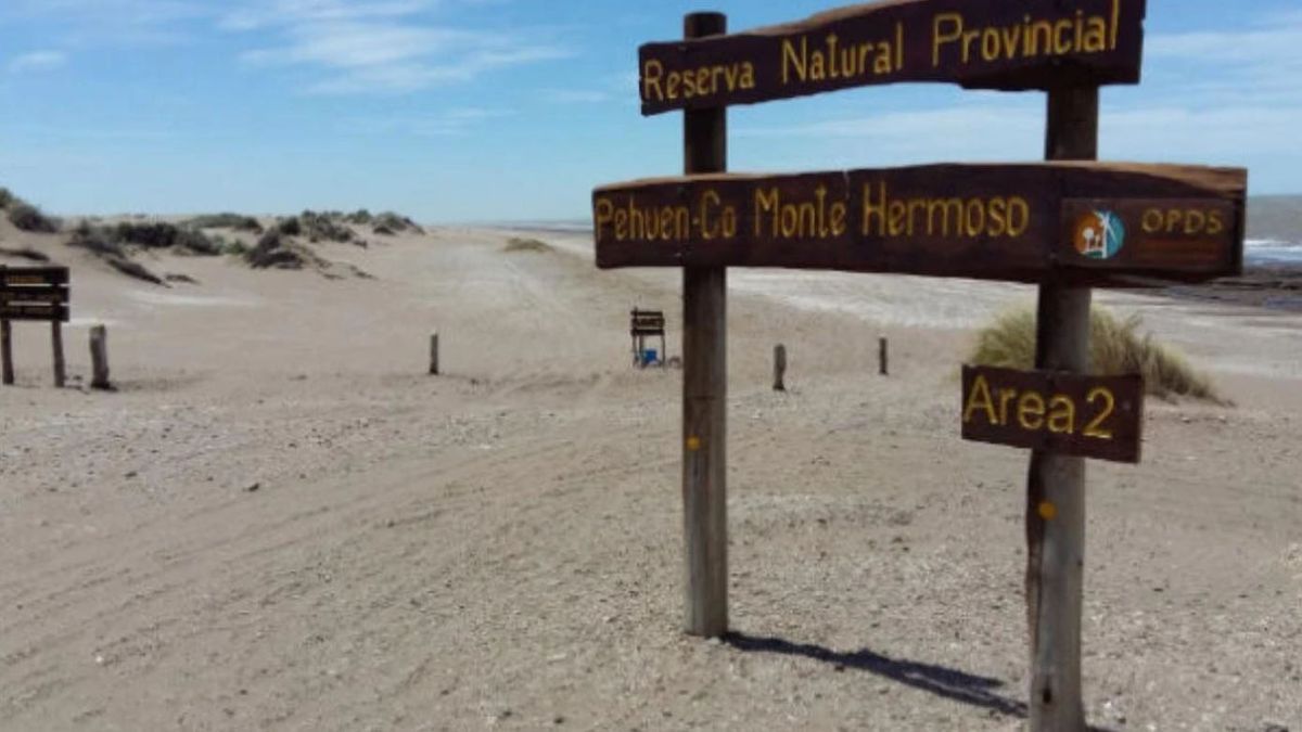 Muy cerca de Monte Hermoso, Pehuen Có se transforma en otoño en el sitio perfecto para aquellos que buscan naturaleza, historia y calma Muy cerca de Monte Hermoso, Pehuen Có se transforma en otoño en el sitio perfecto para aquellos que buscan naturaleza, historia y calma
