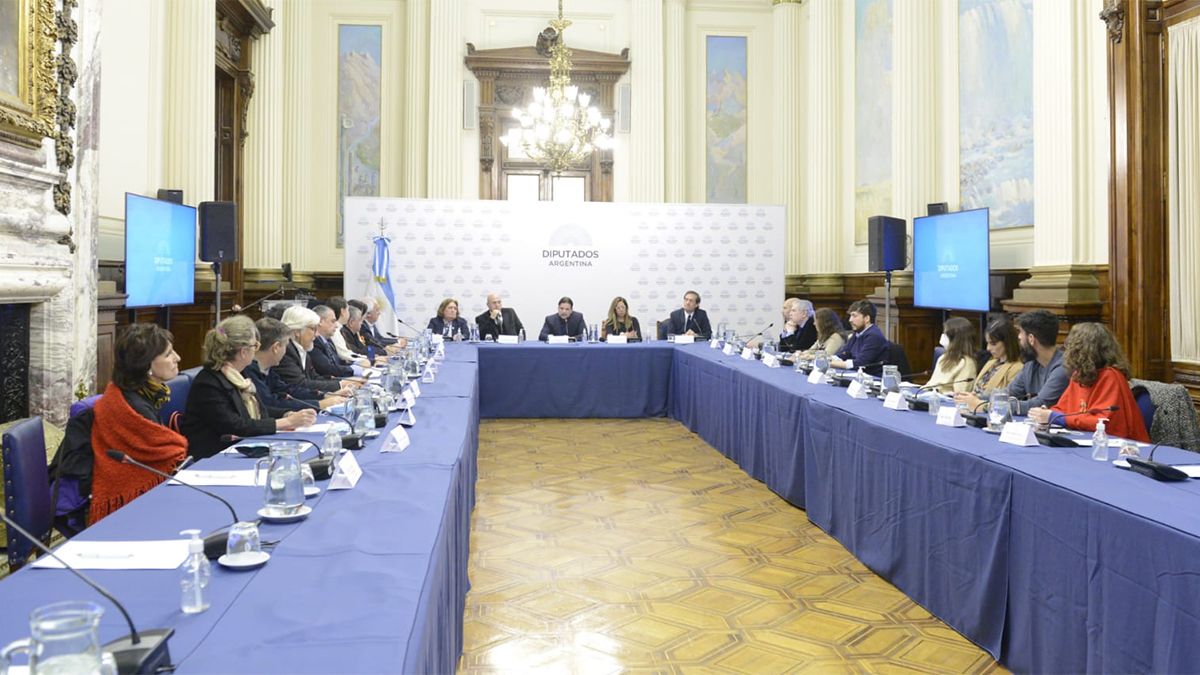 Diputados organizó la jornada "Esclerosis Múltiple: escenario actual en Argentina"