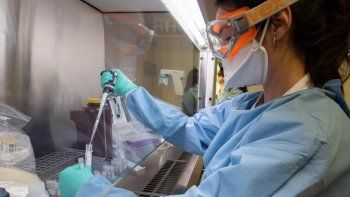 Coronavirus: prevén una vacuna accesible 