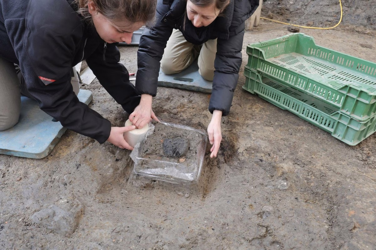 Durante una excavación de rescate en Windisch, las arqueólogas cantonales exhumaron cuidadosamente la hogaza de pan romana carbonizada. Para protegerla, primero se la aseguró con un anillo de gasa de yeso y luego se la envolvió en film transparente. De esta manera, el hallazgo especial pudo ser transportado al laboratorio de restauración junto con la tierra circundante. Durante una excavación de rescate en Windisch, las arqueólogas cantonales exhumaron cuidadosamente la hogaza de pan romana carbonizada. Para protegerla, primero se la aseguró con un anillo de gasa de yeso y luego se la envolvió en film transparente. De esta manera, el hallazgo especial pudo ser transportado al laboratorio de restauración junto con la tierra circundante.